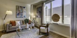 Queen Anne Collection Gallery 25