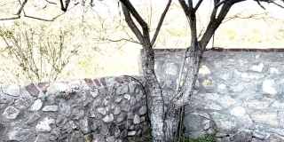 6035 BANDOLERO Drive unit: C Gallery 48