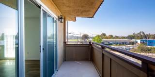 Volterra at La Mesa Gallery 18