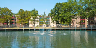 Woodland Landing Gallery 12