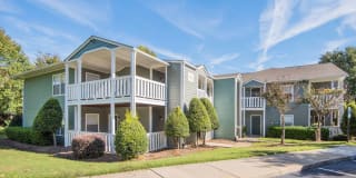 Harlowe Apartments Gallery 30