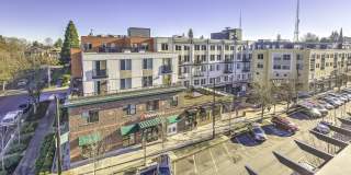 Queen Anne Collection Gallery 37