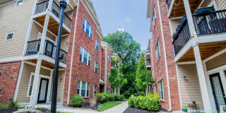 Monon Living Gallery 44