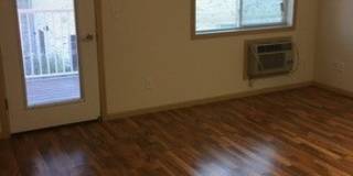 21 Orange Gallery 13