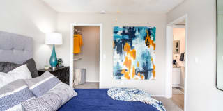 Vantage on Hillsborough Apartments Gallery 8