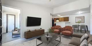 Millenium Cove Gallery 23