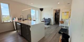 BRAND NEW!! Nova on the Park Gallery 1
