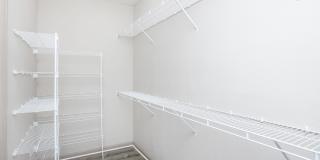 RIZE at Winter Springs Gallery 164