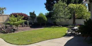 SOLAR HOME IN LINCOLN SUN CITY 55+ DEL WEBB COMMUNITY! Gallery 15