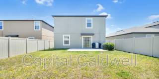 9434 Lemon Drop Loop Gallery 43