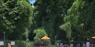 The Cypress Gallery 11