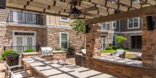 Red Knot at Edinburgh Gallery 30