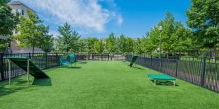 Windsor Leesburg Gallery 35