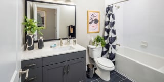 Broadstone Pullman Gallery 38