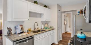 The Chapman Gallery 15