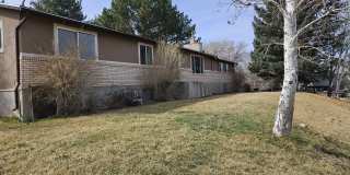 297 South 200 East Gallery 1