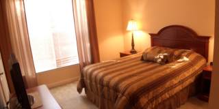 1370 Tuscan Ter Gallery 12