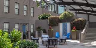 Buckhead 960 Gallery 15