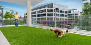 Brio Apartments Gallery 35