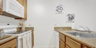 Lakehaven Gallery 11