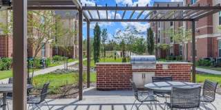 Ravella at Sienna Gallery 8