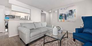 Serafina at South Mountain Gallery 8