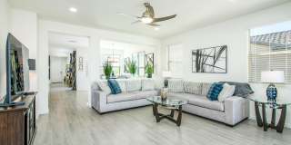 20580 N CONFETTI Court Gallery 21