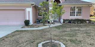 201 GOLDIE STREET Gallery 1