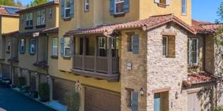 258 Coral Rose 258 Coral Rose Gallery 1