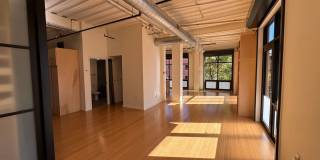Open an Bright Studio Right off Pearl St Mall - Available May 15th! Gallery 5