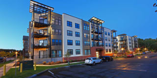 Excelsior Park Gallery 2