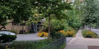 4600 CONNECTICUT Avenue NW Gallery 30