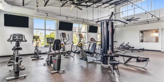 Orion ParkView Gallery 9