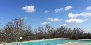 Mountain Brook Gallery 6