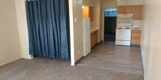 1 bedroom, 1 bathroom downstairs apartment - Maverick Apartments Gallery 1