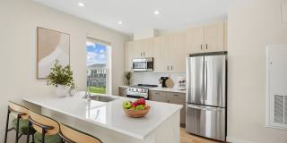 Alta Oak and Pine Gallery 1