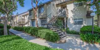 Oak Tree Court Gallery 3