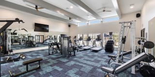 Ltd. Med Center Gallery 24
