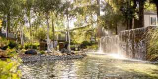 Shadowbrook Apartments Gallery 14