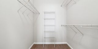 Tree Park Apartments Gallery 13