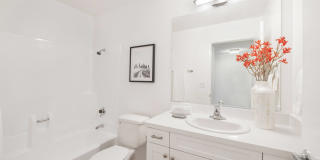 The Aspen South Coast Gallery 19