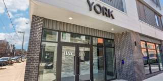 Hagert & York Gallery 56