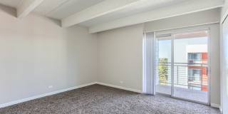 The Paramount Gallery 13