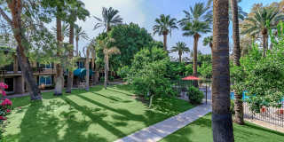 Oasis in the City Oasis in the City Gallery 4