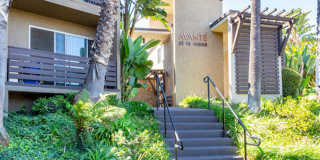 Elán Avante Apartment Homes Gallery 8