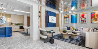 Tortoise One Gallery 51