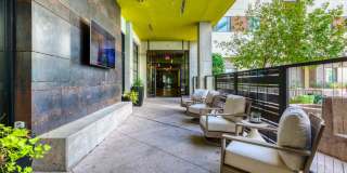 Agave 350 Gallery 44