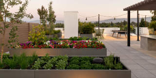 Lorien Apartments Gallery 44