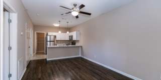 Patriots Place Gallery 160