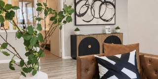 Capital Flats & Magnolia Square Apartments Gallery 10